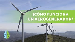 ¿Cómo funciona la ENERGÍA EÓLICA 💨⚡  Tipos de AEROGENERADORES [upl. by Sylas574]