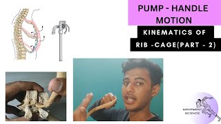 KINEMATICS OF RIB CAGE  PUMP HANDLE MOTION BIOMECHANICS OF THORAX Physiotherapy Tutorial [upl. by Alamap]