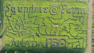 Canada 150 Maze at Saunders Farm [upl. by Pirozzo386]