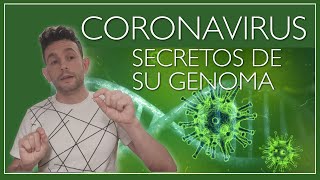 El origen genético del coronavirus [upl. by Noonberg]