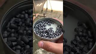 Testing the Heaviest Airgun Pellets [upl. by Pembroke]