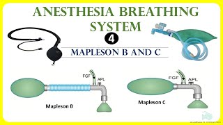 Mapleson B and C Anesthesia breathing system [upl. by Nasus862]