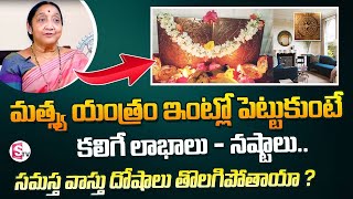 మత్స్య యంత్రం Matsya Yantra Benefits In Telugu  Matsya Yantra Pooja VidhanamGouri Umesh  SumanTV [upl. by Amsab318]