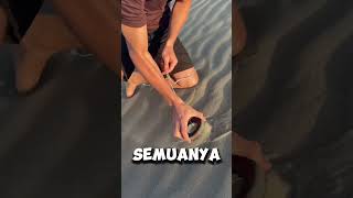 Bagaimana Memancing Magnet Di Padang Pasir crafterduck TT shortvideos [upl. by Krissy]