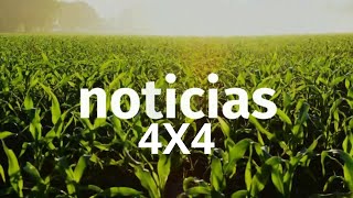 ▶️ Noticias 4x4 03112024 [upl. by Shaina]