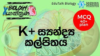 K ස්‍යන්ද්‍ය කල්පිතය  K Influx Hypothesis  EduTalk Biology [upl. by Zampino]