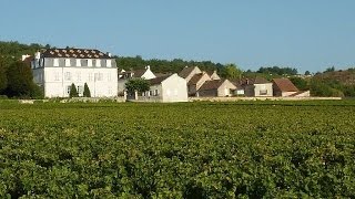 JT spécial vendanges 2014 sur France 3 Bourgogne [upl. by Yelram537]