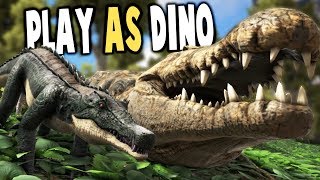 Ark Survival Evolved  PLAY AS GIANT DEINOSUCHUS LATCHING RAPTORS  Ark Modded Gameplay [upl. by Angus]