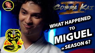 Cobra Kai What happened to MIGUEL in Season 6 [upl. by Ahseined]