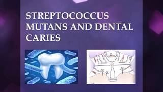 Streptococcus Mutans and Dental Caries [upl. by Adnilab]