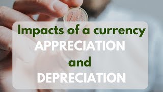 Economic impact of currency appreciation and depreciation [upl. by Nora]