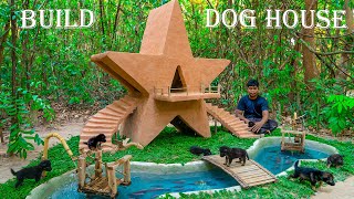 Save Orphaned Puppies Raise and Build a beautiful starshaped dog house [upl. by Enirroc]