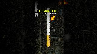 CIGARETTE सिगरेट EXPERIMENT  shorts [upl. by Irbua]