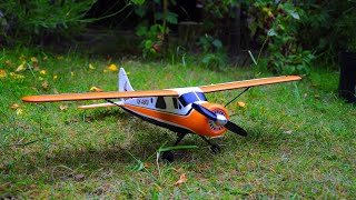 XK A600 5CH Brushless DHC2 Scale Plane review amp Test Flight [upl. by Nelleh]