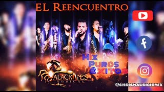 Alacranes musical mix ❌ 🦂🔥 Puros éxitos El reencuentro Dj Chris mauricio [upl. by Shepp313]