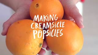 Making Orange Creamsicle Popsicles [upl. by Mattah546]