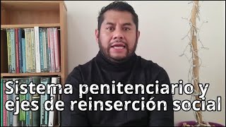 Sistema penitenciario y ejes de reinserción socialPenitentiary system and social reintegration axes [upl. by Ydnerb917]