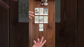 A Message That Is Meant To Reach You Right Now shorts tarot tarotreading [upl. by Edmund896]