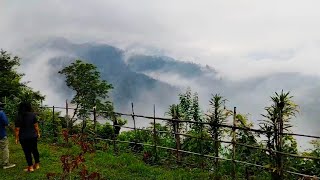 Dalgaon view point northbengaltour zx10rninjavlogvideo [upl. by Adiaj]