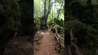 Puzzlewood Gloucestershire Forest of Dean Uk [upl. by Leroj135]