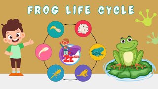 Life Cycle Of A Frog  Best learning videos  Metamorphosis  Educational videos  Frog  ZE Kids [upl. by Sac]