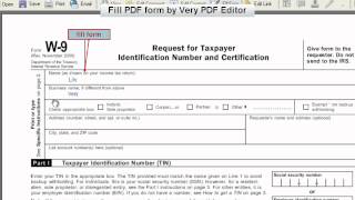 Fill PDF form by Very PDF Editor [upl. by Adnohsor]