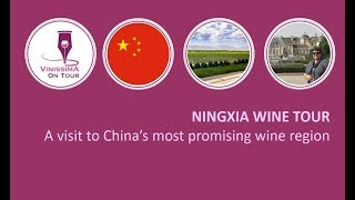 Ningxia Wine Tour a visit to China’s most promising wine region [upl. by Nahtanoy]