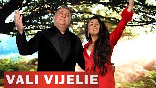 Vali Vijelie ❌ Ana Cristina Cirstea  Mai dami o viata Melodii de Petrecere 2024 [upl. by Oyr]