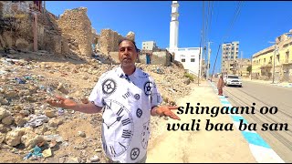 Shingaani oo Wali Baa Ba San PART 2 DHAMAAT 🇸🇴 [upl. by Berfield]