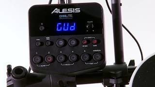 Alesis DM Lite Kit Module Overview [upl. by Eegnat]