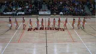 quotRockin Around the Christmas Treequot by Miley Cyrus LPHS Poms Routine [upl. by Allevon392]