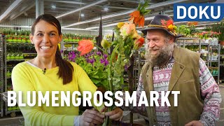 Blumen vom Großmarkt – regional hats schwer  doku  erlebnis hessen [upl. by Zillah]