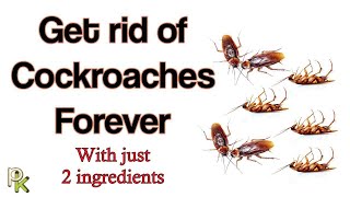 How to get rid of Cockroaches in your home with just 2 ingredients [upl. by Kulda559]