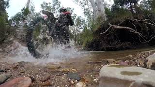 Crossing the Aberfeldy River Eaton Track with Lachie Jono and MrWiretap Billy Smith [upl. by Asiret]