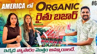 America 🇺🇸 Local Farmers Vegetable amp Fruits Market  Uma Telugu Traveller [upl. by Saxena24]