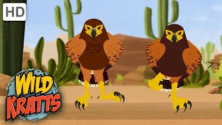 Wild Kratts  Hawk VS Jack Rabbit  Animals [upl. by Nikita]