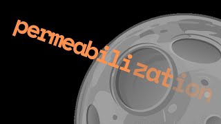 Flow cytometry permeabilization reagents Part 3 [upl. by Neelya997]