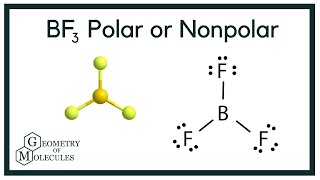 Is BF3 Polar or Nonpolar Boron Trifluoride [upl. by Monjan]