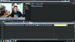 Tuto Magix Video Deluxe 2014  les bases [upl. by Inavihs]