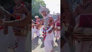 Kandyan Dancers 🤸🤸‍♀️Sri Lanka [upl. by Hgielrahc542]