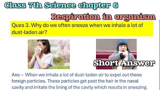 respiration in Organisms question answer class 7  class 7 science chapter 6 question answer [upl. by Anilas]