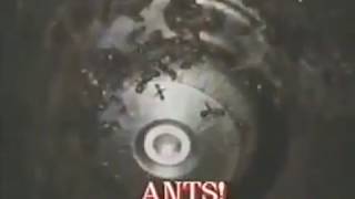 Ants Trailer 1977 [upl. by Mathis]