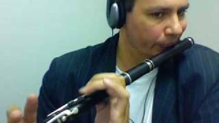 Irish flute tin whistle  Happy Hornpipe [upl. by Nauqaj]