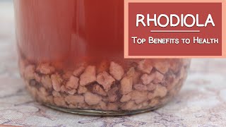 What is Rhodiola Top Health Benefits [upl. by Hayouqes]