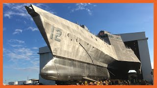 Why Does the US Navy Hate its Littoral Combat Ships [upl. by Michon649]