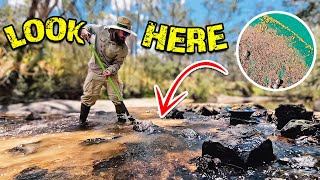 How to Find Bigger Chunks of Gold in Creeks [upl. by Jerrilee107]