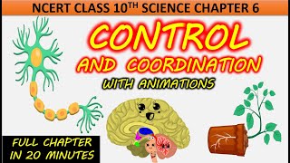 Control and Coordination with Animation Class 10 Science Chapter 6 NCERT CBSE Full chapter One shot [upl. by Hope]