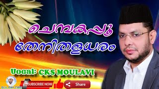 ചെമ്പകപ്പൂ തേനിതളധരം Chembakappo Thenidhaladharam CKS MOULAVI [upl. by Holleran]