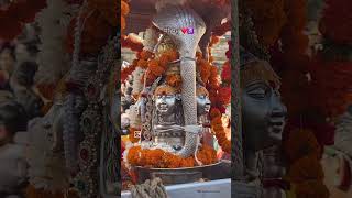 Har har Mahadev reel love misha shyam mishaan devotionalsong song mishaa harharmahadevsong [upl. by Cianca778]