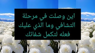 ليست صدفة ظهورها أمامك إنها مشيئة الله تعالى ❤️🕊️❤️ [upl. by Nirok]